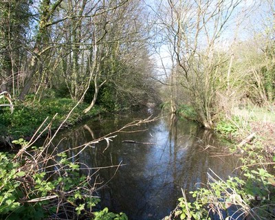 Uttoxeter-canal-4